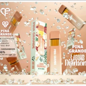 Favorites Pina grande disposable