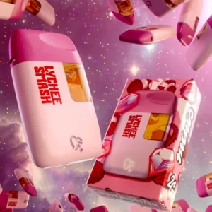 Favorites Lychee Smash Disposable